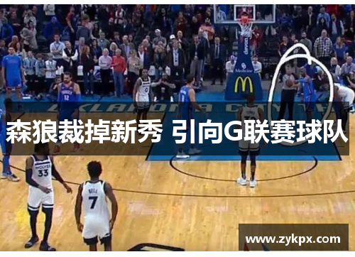 森狼裁掉新秀 引向G联赛球队